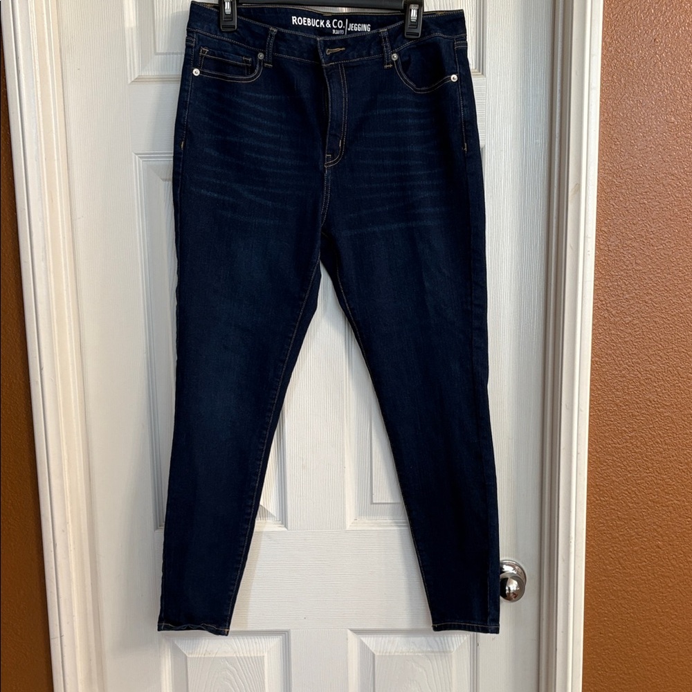 Robeck & Co Women's Dark Blue Jeggings